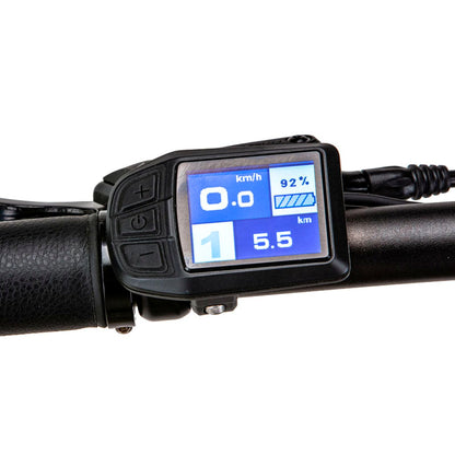 LCD Display of TEEWING T20 Carbon Fiber Electric Folding Bike black